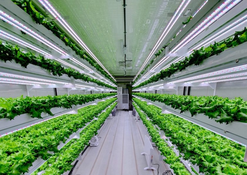 Smart Acres Vertical Farming Company Set To Launch in UAE