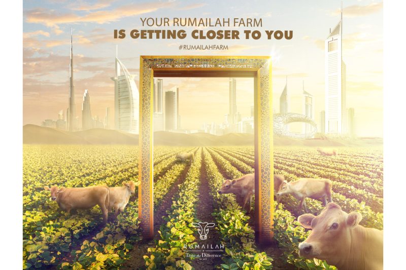 After East Coast Success, Rumailah Farm Set to Expand across UAE