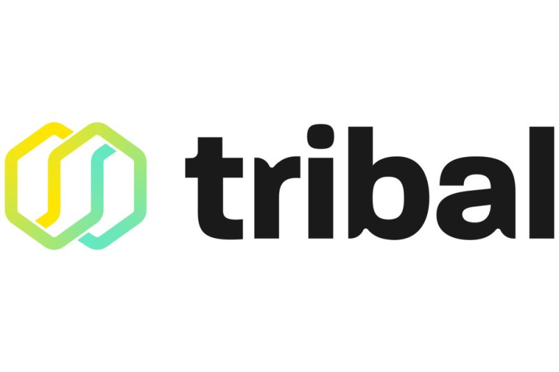 Tribal Credit Launches Private Beta of Cash Copilot: A GPT-Powered Open Banking Solution for Emerging Market SMEs