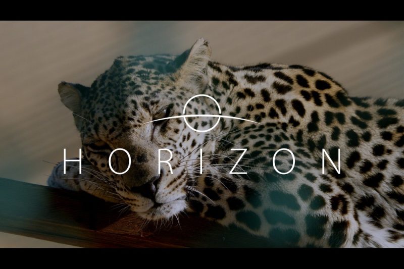 Saudi Arabia’s Ministry of Media launches Horizon documentary on Netflix, about wildlife in the Kingdom