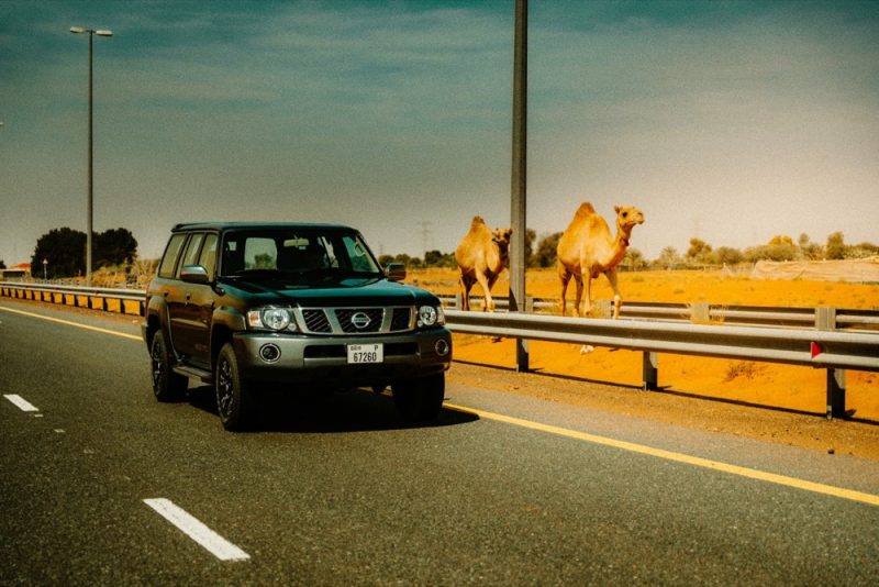 Arabian Automobiles Celebrates Rich Heritage of the Patrol Super Safari with Exclusive 2024 ‘Al Ostoura’ Edition