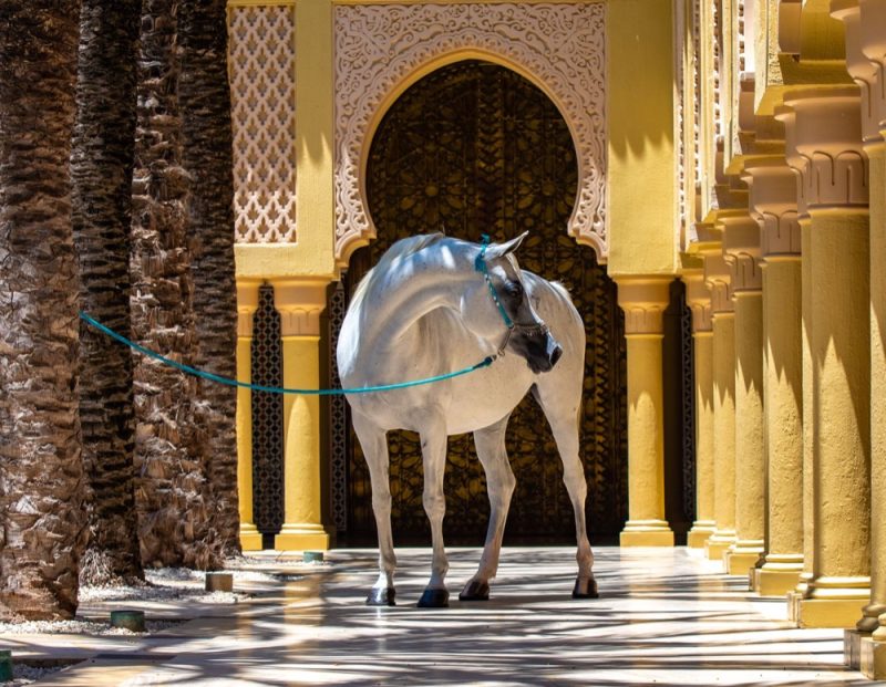 منتجع “مازاغان” يطلق أحدث رحلاته لاستكشاف جمال المدن المغربية